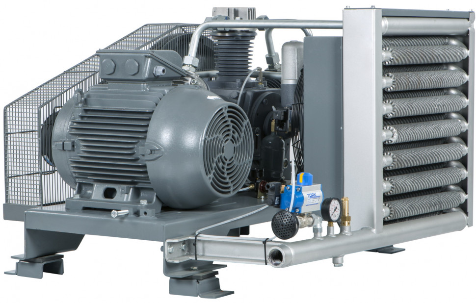 Компрессор поршневой Dalgakiran DBK-30 (O) 
